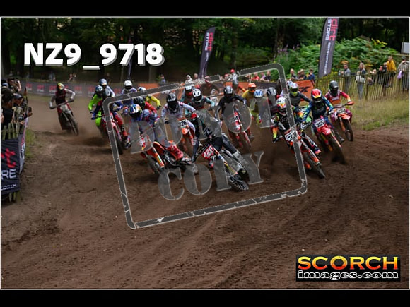 MX1-273