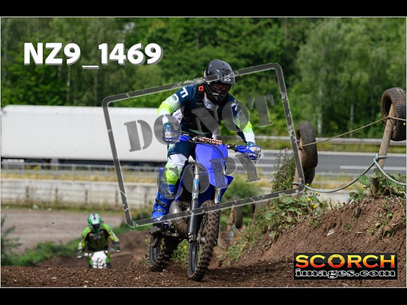 IntersGreen-102