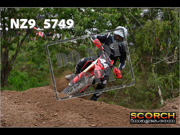 Experts-219