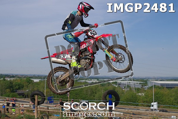 IMGP2481