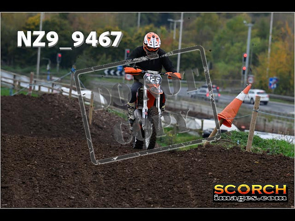 IntersGreen-009