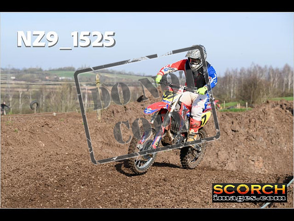 Experts-069