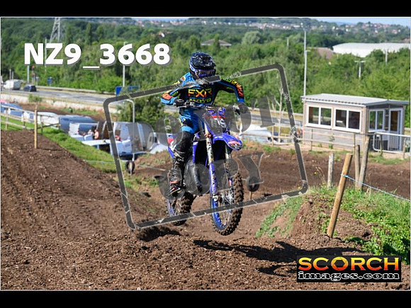 Experts-034
