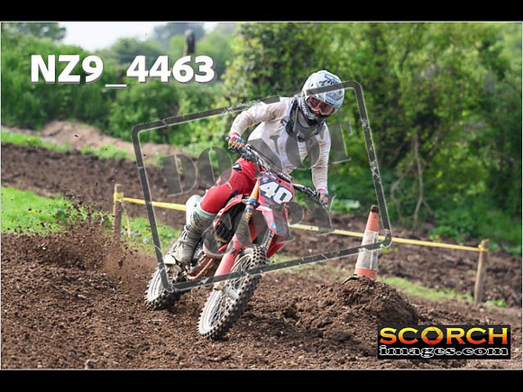 Experts-026