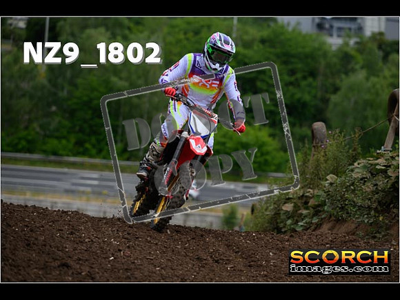 IntersGreenOrange-056