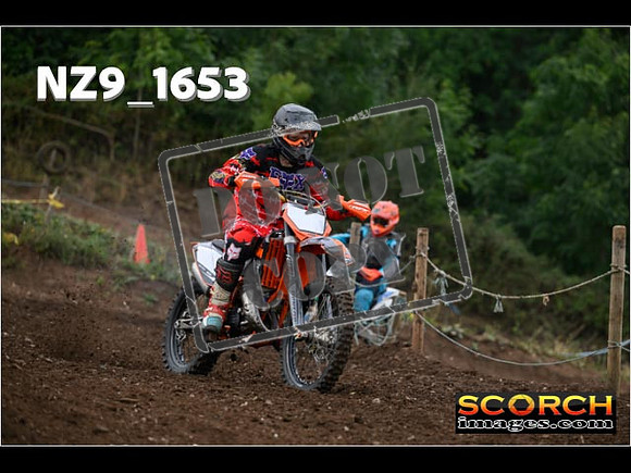 IntersGreenOrange-059