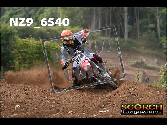 Experts-249