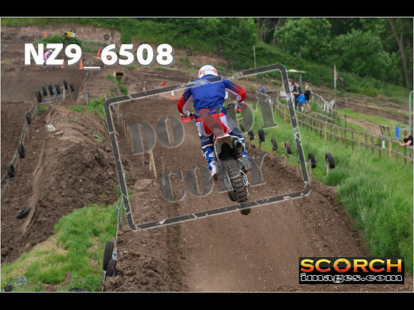 Experts-316