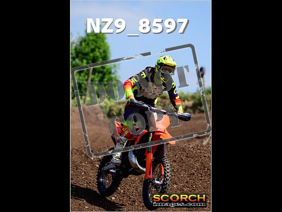 IntersGreenOrange-263
