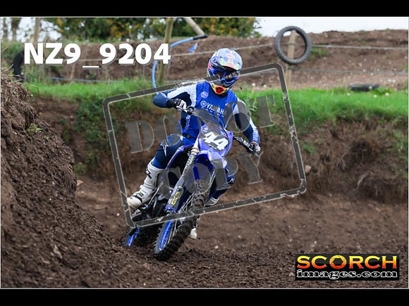 Experts-013