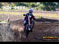 Experts-019