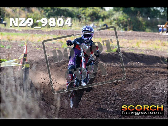 Experts-019