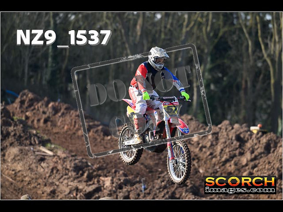 Experts-081