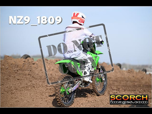 IntersGreen-083