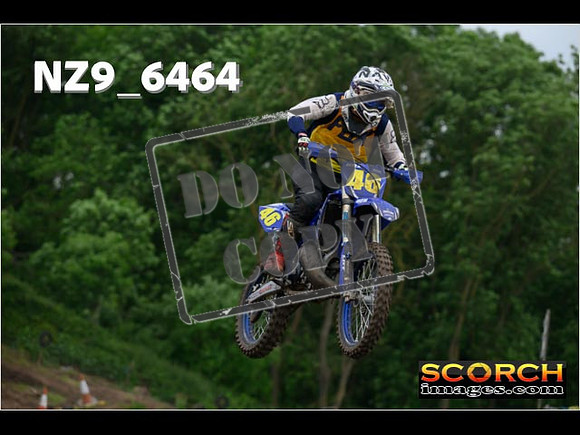 Experts-274