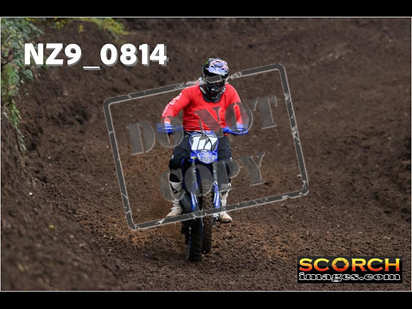 Experts-115