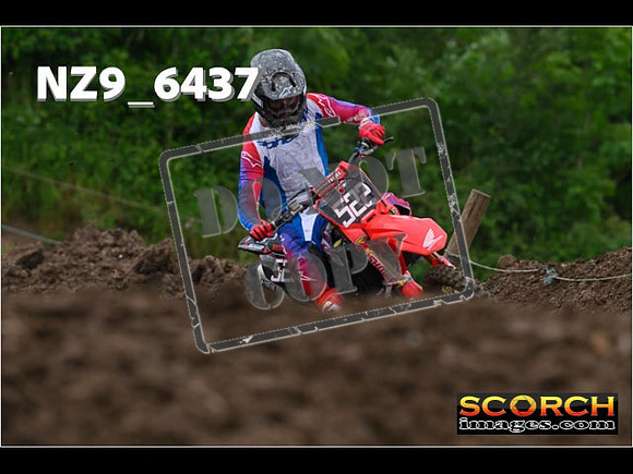 Experts-249
