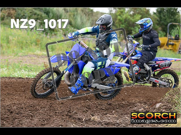 IntersGreen-034
