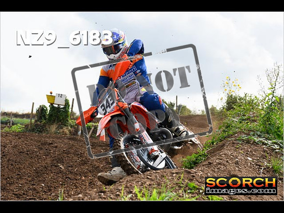 Experts-096
