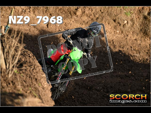 InterBlueGreen-005