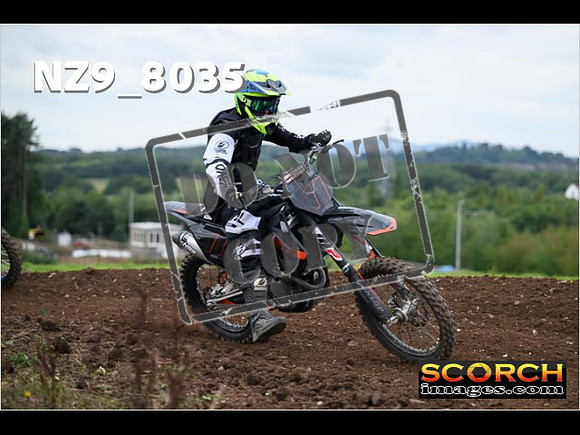 IntersGreen-180
