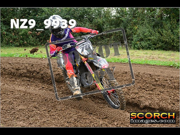 Experts-154