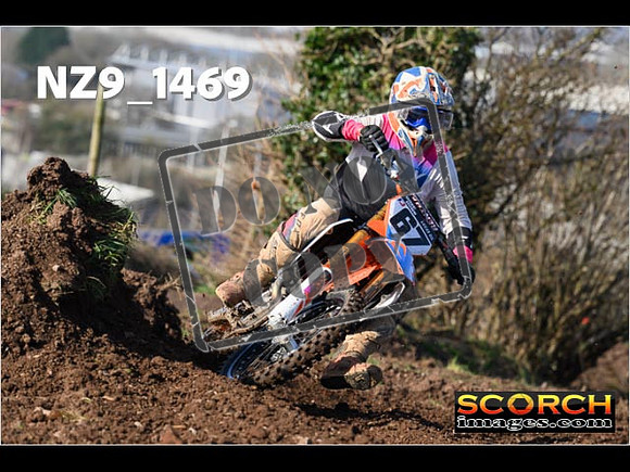 Experts-013