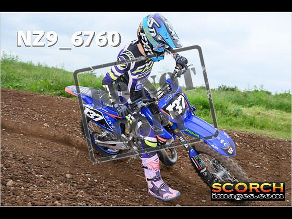 Experts-363