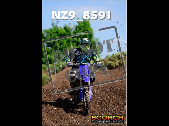 IntersGreenOrange-257