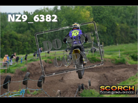 Experts-195