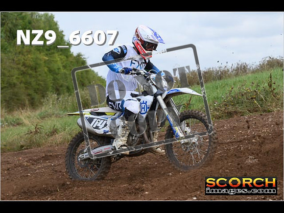 Experts-312