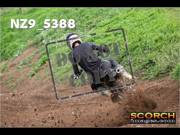 Experts-164