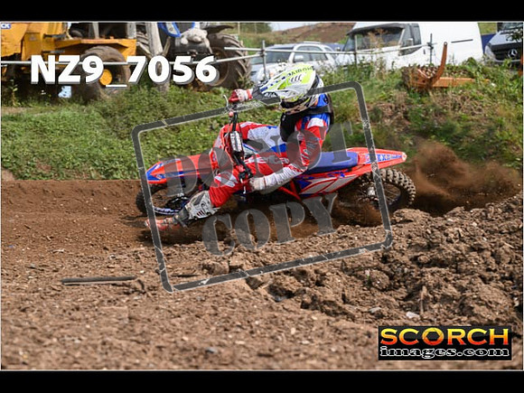 Experts-452