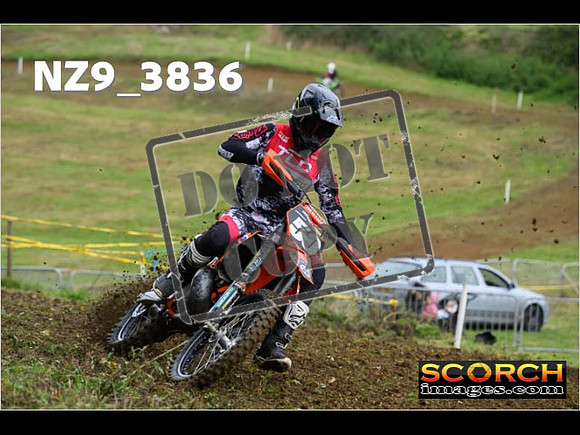 Experts-030
