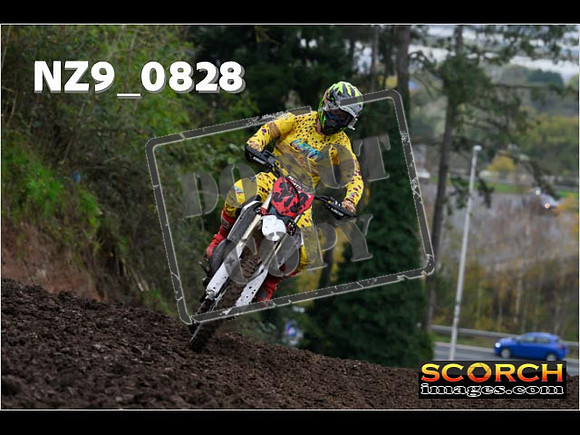 Experts-129