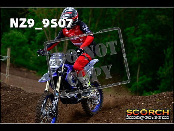 Experts-106