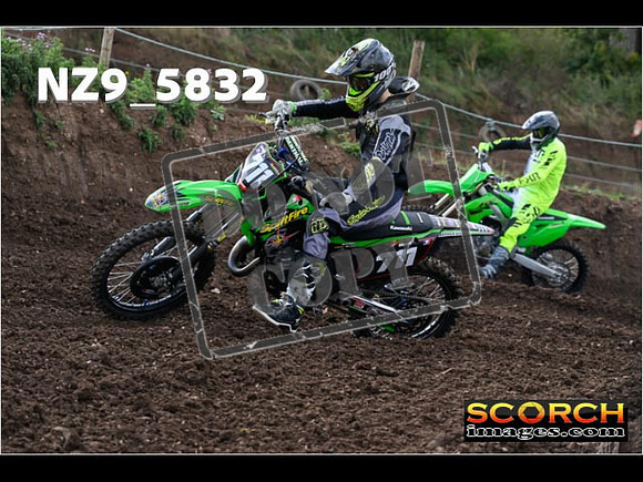 IntersGreen-024