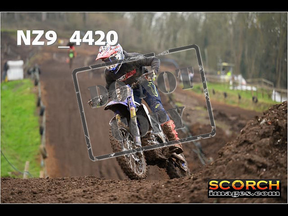 Experts-262