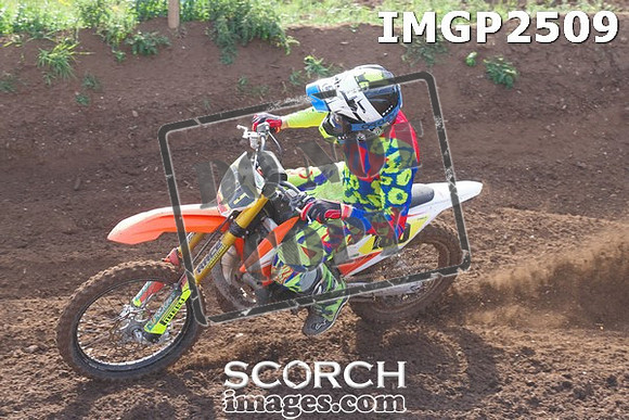 IMGP2509