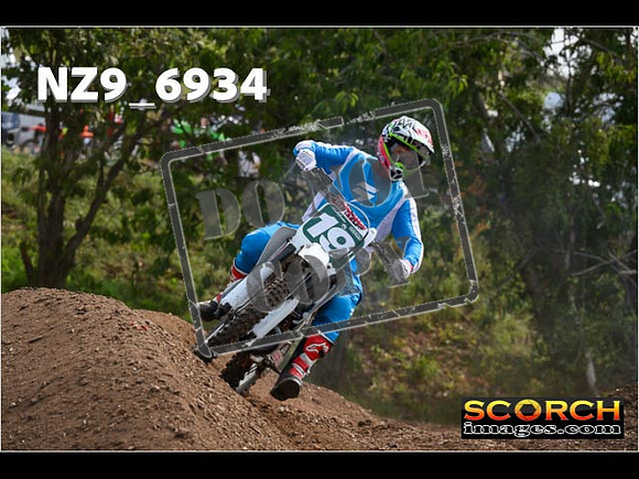 Experts-332