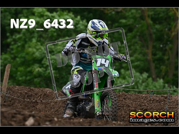 Experts-244