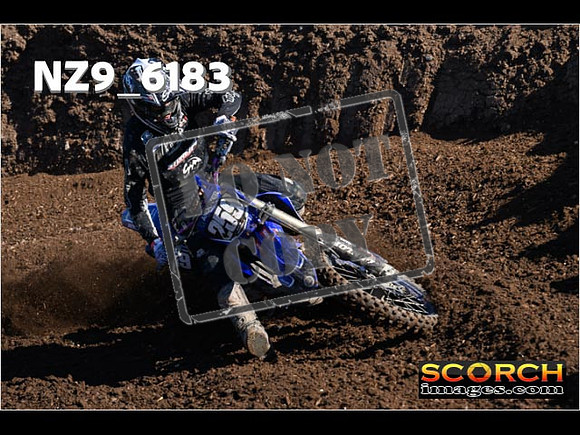 Experts-096