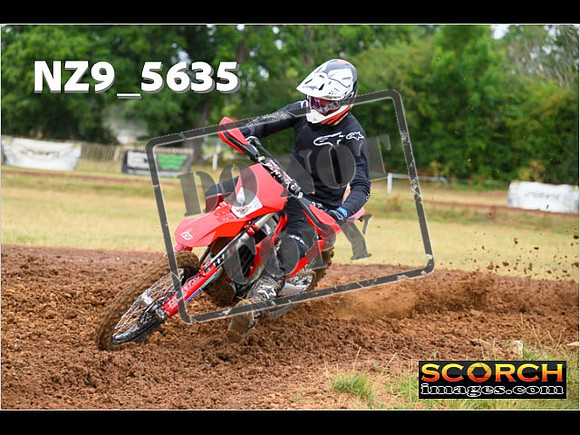 Experts-038