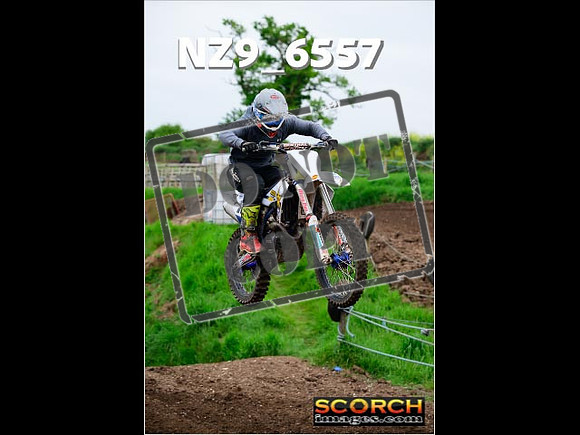 InterGreen-065