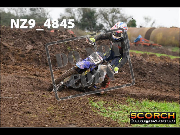 Experts-321