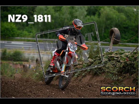 IntersGreenOrange-064