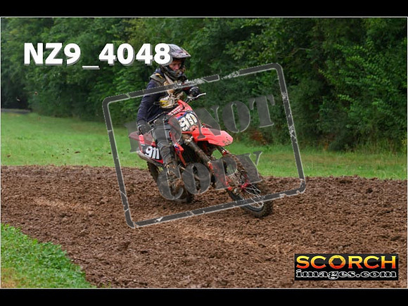 Experts-121