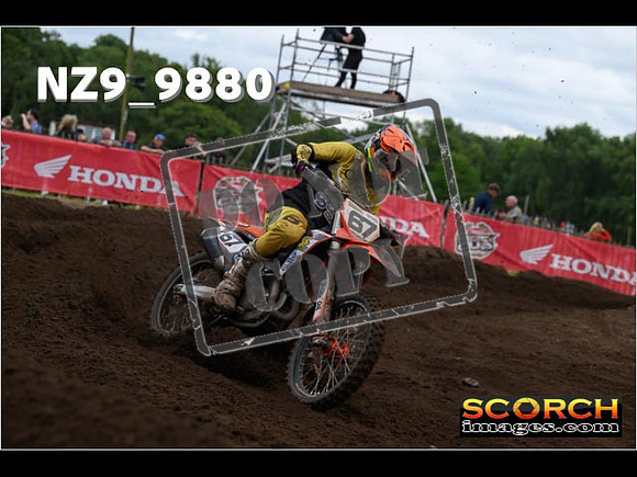 MX1-419