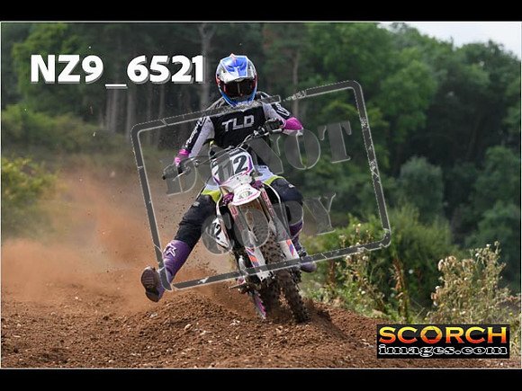 Experts-230