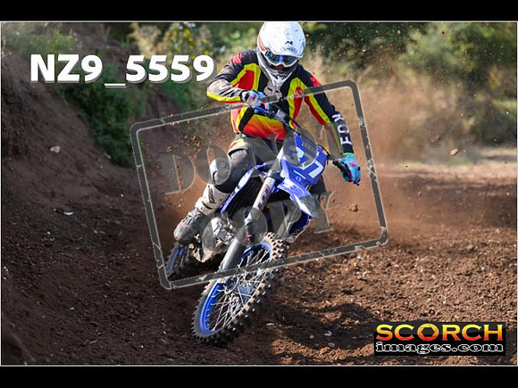 Wed13Aug-085